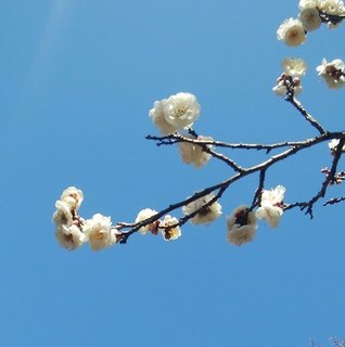 IMG_20190202_212118.jpg