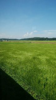 IMG_20190810_235146.jpg