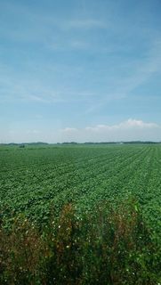 IMG_20190810_235936.jpg