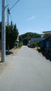 IMG_20190811_000839.jpg