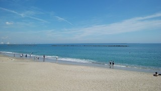 IMG_20190811_002622.jpg