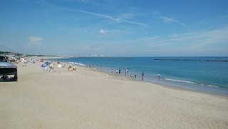 IMG_20190811_002911.jpg